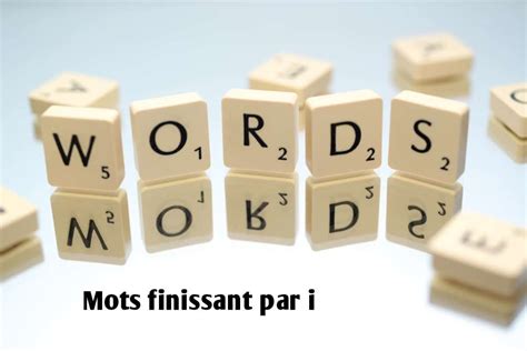 mots finissant par i|terminisation en i.